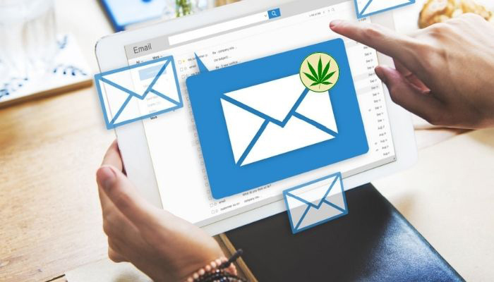 Cannabis Dispensary Email Marketing service