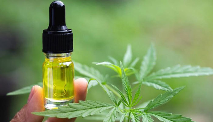 How to Purchase CBD Oil in Los Angeles County