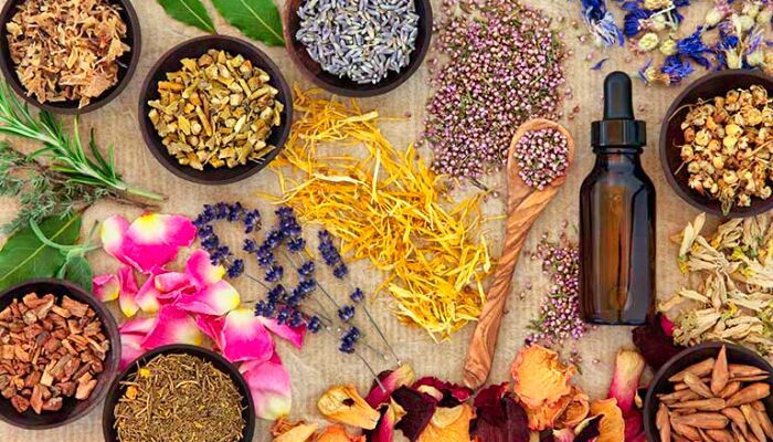 internet marketing of herbal products