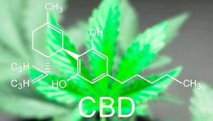 The Meaning of CBD